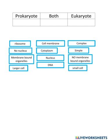 Prokaryote vs eukaryote