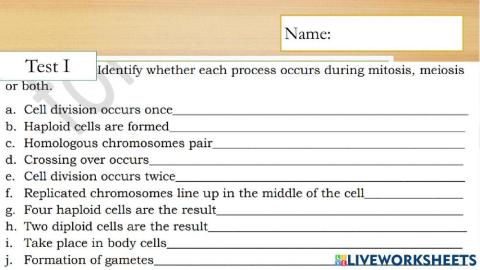 Mitosis vs Meiosis