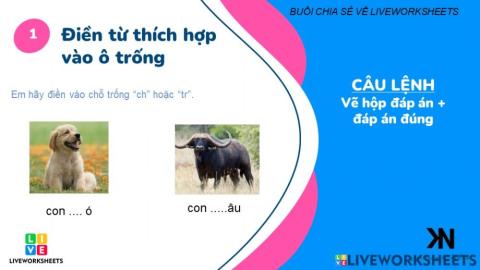 Bài tập tương tác