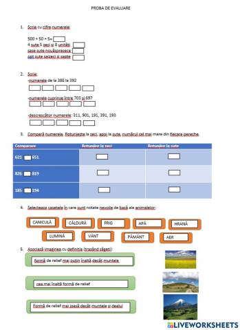 Proba evaluare