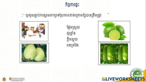 កិច្ចការផ្ទះ (២០.១០.២០២១)