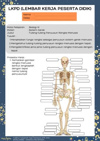 LKPD Sistem Gerak