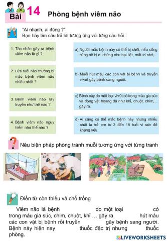 Khoa học Bài 14: Phòng bệnh viêm não