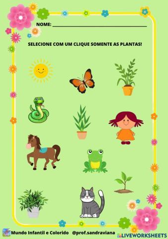 Plantas