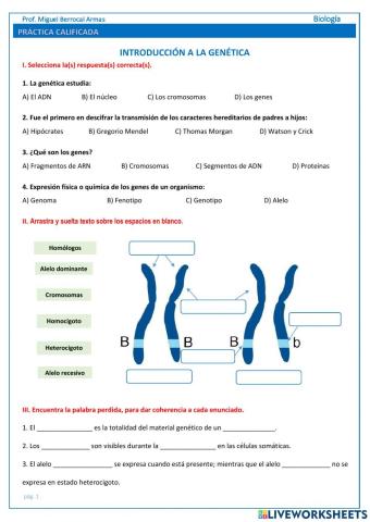 Introducción de la genética