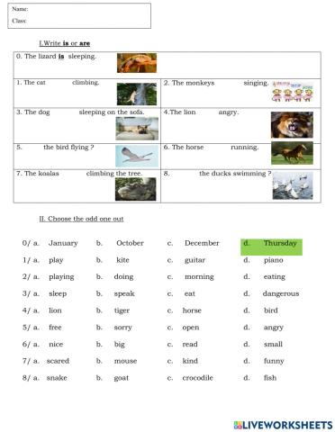 Grade 5 Unit 5 Lesson 4,5,6