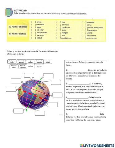 Factores bióticos y abióticos