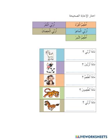 رفقا بالحيوانات