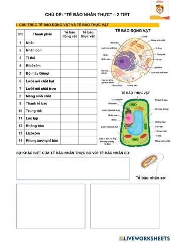 Chủ đề -cấu trúc tế bào nhân thực-