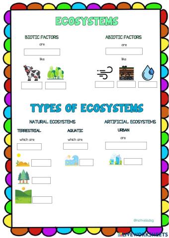 Ecosystems & Types