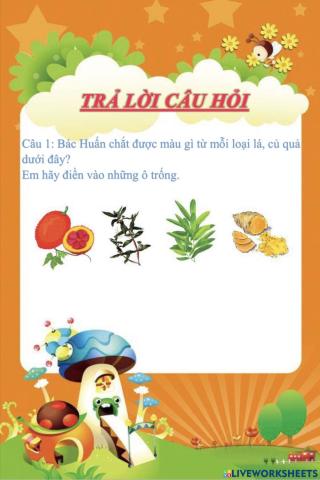 Trả lời câu 1