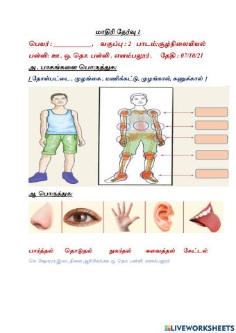 மாதிரி தேர்வு 1