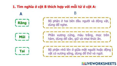 PBT - Bài 1 - Từ nhiều  nghĩa