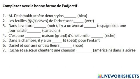 Qualifying Adjectives-Les adjectifs Qualificatifs