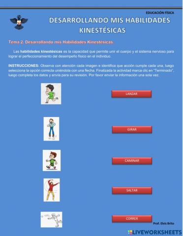 Habilidades kinestésicas