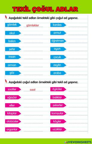 Tekil Çoğul Adlar