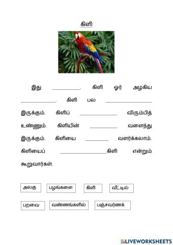 கட்டுரை