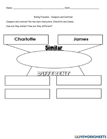 Compare and Contrast Riding Freedom