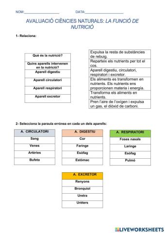 La funció de nutrició