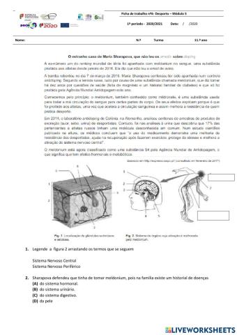 Sistema nervoso