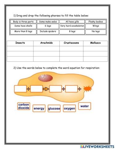 Invertebrates and plants