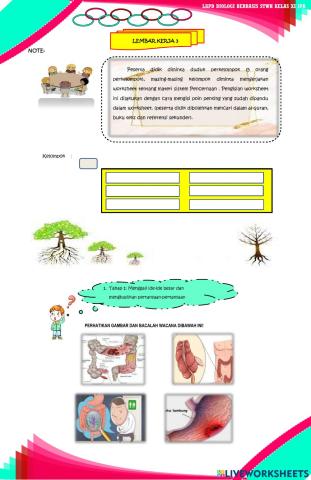 Lembar kerja sistem pencernaan pertemuan 3
