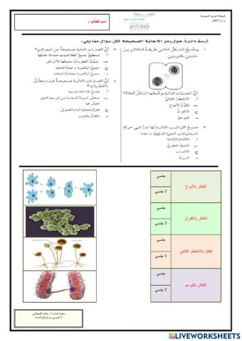 عمليات الحياة في المخلوقات الحية الدقيقة-2