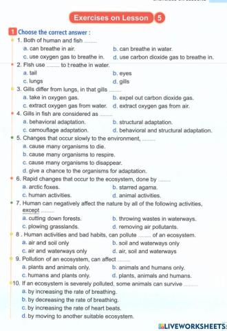 science grade 4 activity13 and 14