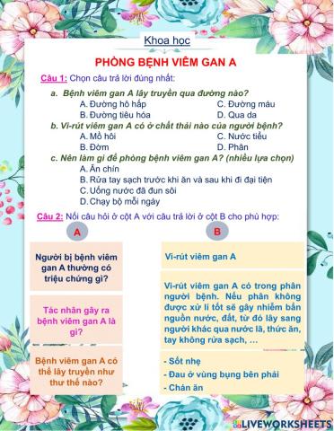 Phòng bệnh viêm gan A