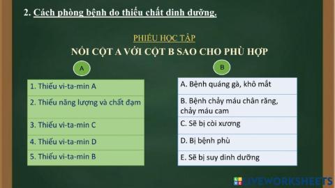 Phiếu học tập