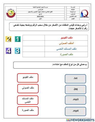 حجم وامتدادات الملفات