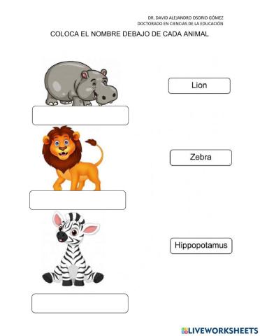 Animales en inglés