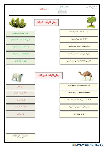 التكيف والبقاء-2