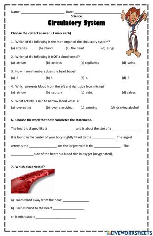 Circulatory System Worksheet