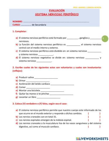 Sistema Nervioso Periférico