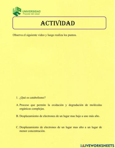 Actividades transporte de electrones y fosforilacion