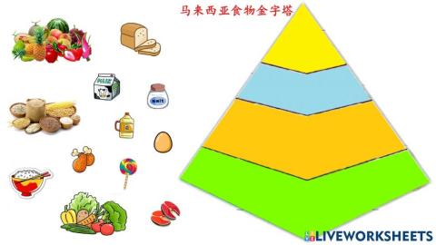 食物金字塔