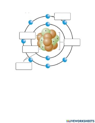 Label the atom