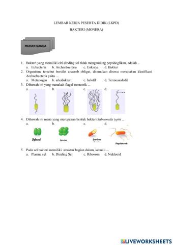 Lkpd bakteri (monera)