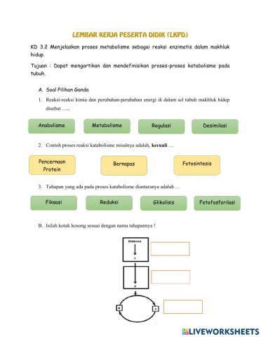 LKPD Matebolisme -Katabolisme