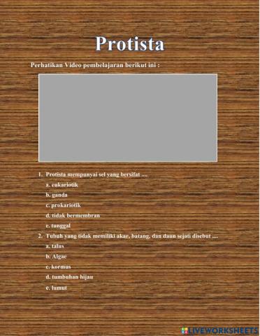 Protista