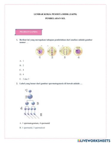 LKPD Pembelahan Sel
