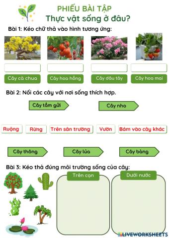 Thực vật sống ở đâu