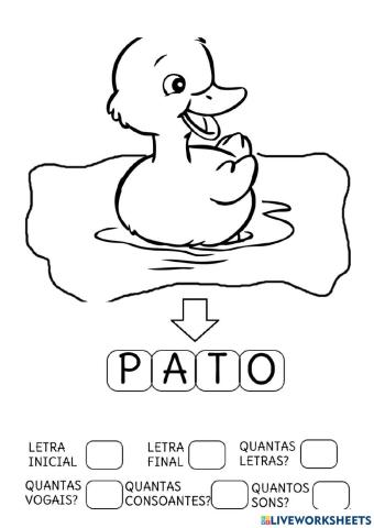 O Pato