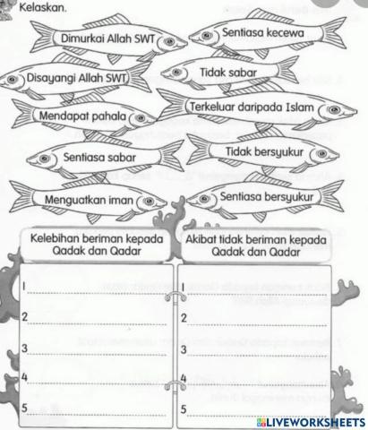 Beriman dengan Qada dan Qadar