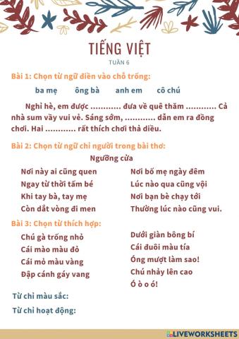 Tiếng Việt tuần 6