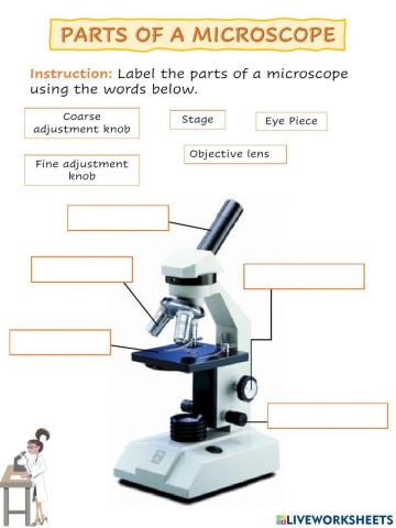 Parts of a Microscope