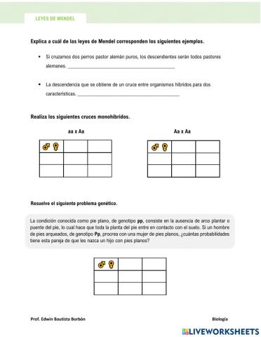 Leyes de Mendel