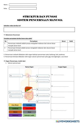 LKPD Mekanisme dan Organ Pencernaan