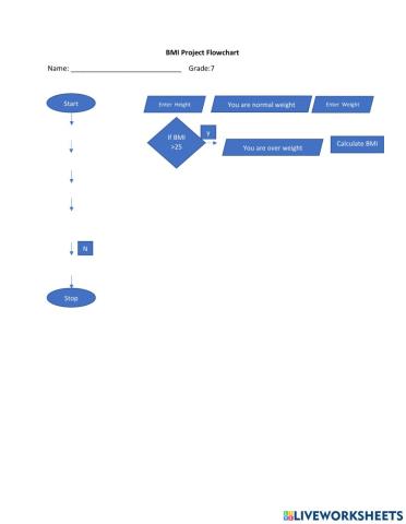 BMI Project Flowchart